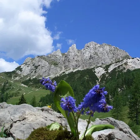 아파트 Burgstaller 트로폴라흐